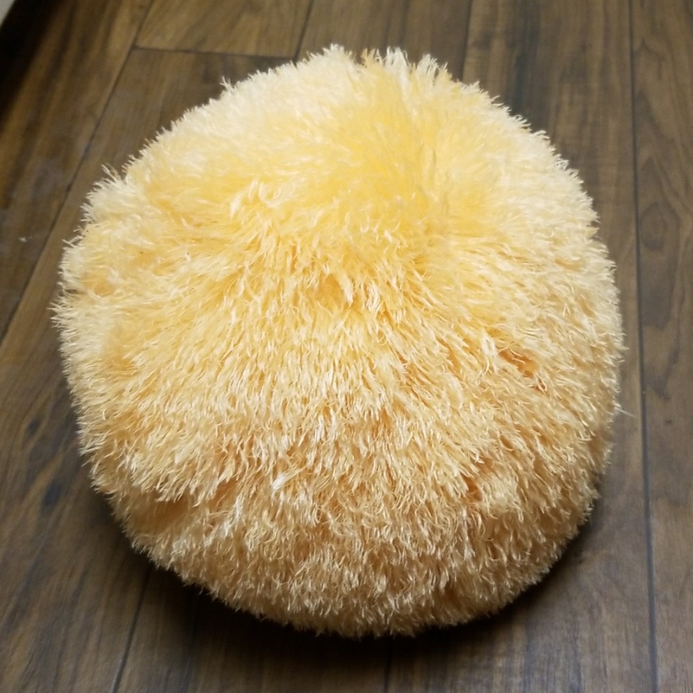 Orange Soft Fuzzy Pillow
